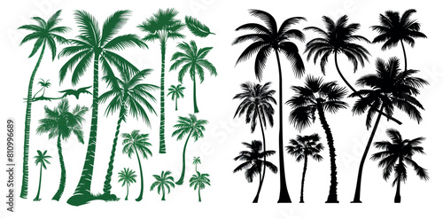 Silhouettes of palm trees. Tropical botany, vintage silhouettes of hawaiian coconut palms.