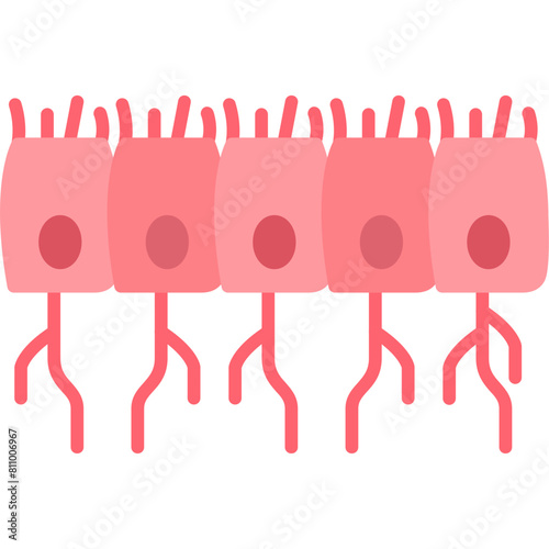 Ependymal Cells Icon