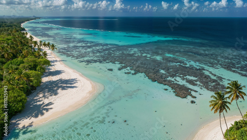 Isola di un atollo tropicale in mezzo all'oceano con sabbia bianca e una foresta di palme rigogliose circondata da acqua cristallina ripresa dall'alto da un drone