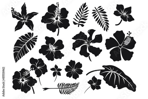 Flower Silhouette. Set of Hibiscus and Plumeria Icons in Nature Illustration