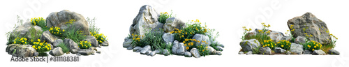 Small garden with large rocks and yellow flowers collection isolated on transparent or white background