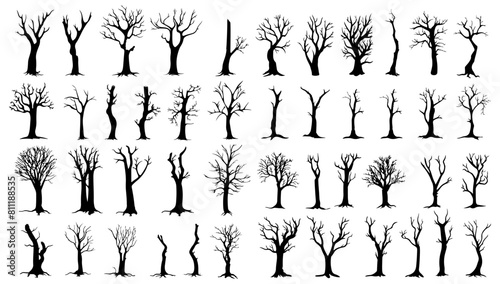 Bare trees silhouettes set. Vector illustration outline forest and trunk wood collection. Art shape drawing and element stem clip art. Dead tree abstract isolated
