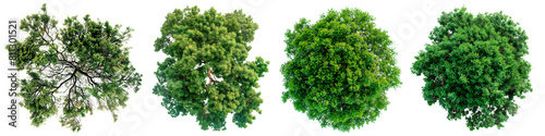 A set of trees with green leaves isolated on a white or transparent background. Close-up of trees from a bird's eye view, seen from above. Graphic design element on the theme of nature and trees.