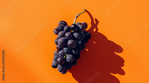 A cluster of rich, dark grapes arranged elegantly on an orange background, captured in a contemporary photography style. The deep, velvety hues of the grapes create a striking contrast 