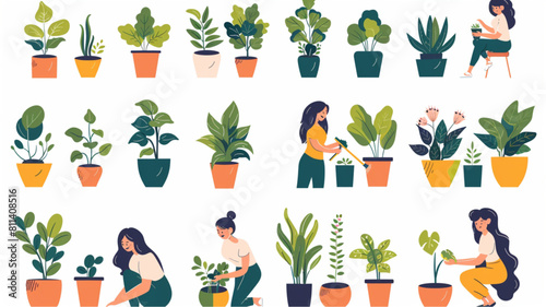  Girls takes care houseplants. Young woman watering interior indoor green plants in pot. Lady growing home potted flowers in pots