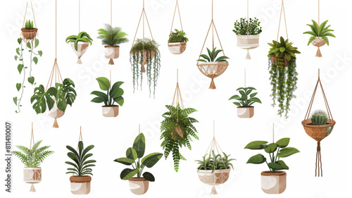Indoor plants with decorative greenhouse elements. Green plants standing in pots on shelves, hanging in planter, macrame at cozy interior isolated on white background 3D