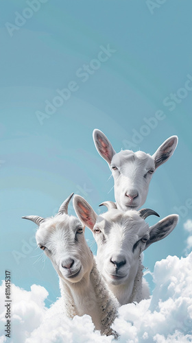 Eid ul adha concept goats on blue background with clean white clouds, Happy eid day