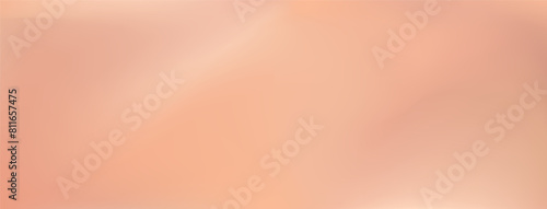 Soft vector gradient background. Smooth beige gradation. Cream texture blurred neutral rose gold banner. Warm pearl silk backdrop. Luxurious wavy aesthetic backdrop in soft light nude brown colors