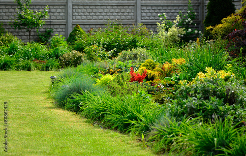 piękny ogród, rabata z bylinami i krzewami w wiosennym ogrodzie, kolorowa rabata w ogrodzie, flowerbed with perennials