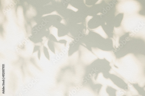 Leaf shadow and tree branch background. Nature leaves tree branch light bokeh shadows sunlight sunshine shade on white wall texture for background wallpaper, shadows overlay effect foliage mockup