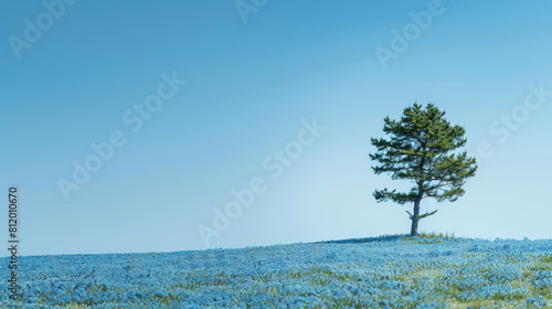 A pine tree in an endless sea of blue flowers