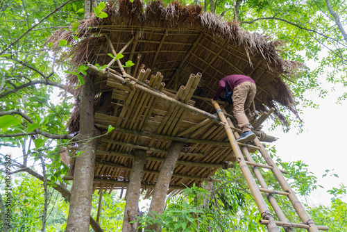 Typical Tree House in Assam Exclusive on Adobe Stock