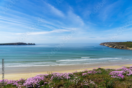 Les falaises tapissées d'arméries maritimes en fleurs offrent une vue éblouissante sur une plage et la mer d'Iroise sous un ciel bleu immaculé, une scène sublime sur la presqu'île de Crozon.