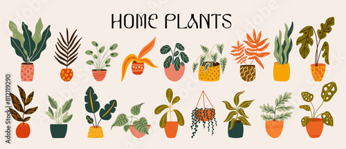 Cartoon indoor home plants in pots vector illustration set for design. Different types of exotic potted houseplants decorative elements kit. Large collection of botanical doodles in funky groovy style