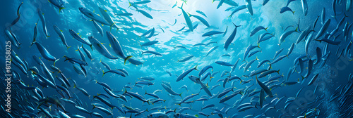 a wide view in ocean with a school of sardines shaped like a sphere
