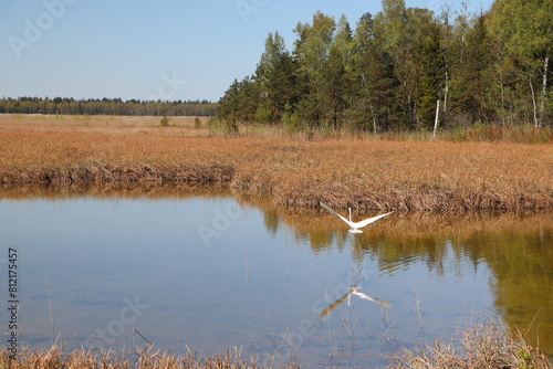 Park Narodowy Kemeri - Łotwa - jezioro Kaņieris