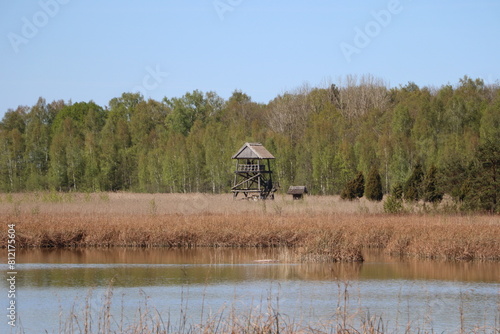 Park Narodowy Kemeri - Łotwa - wieża widokowa