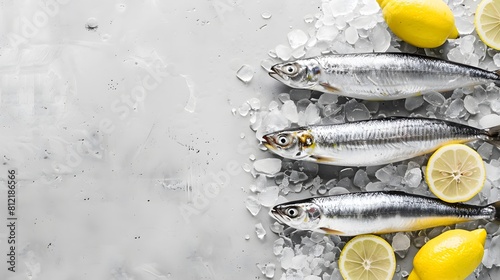 fresh fish on ice, Fresh sardines on ice with lemon slices on a grey background. Flat lay composition with copy space. Seafood and freshness concept for design and print.
