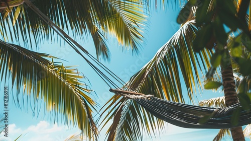 Hammock under a canopy of palm trees with a view of the ocean