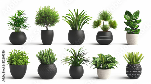 Home potted plants. Cartoon houseplants in pots for interior. Decorative monstera, palm in pot, ficus in basket, pilea in vase. Indoor green plants, foliage, leaves 3D avatars set vector icon, white b