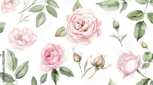 Arrange watercolor elements featuring a garden collection of delicate pink roses and peonies alongside leaves and branches in a botanical illustration set against a white background A buddi