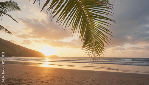 beautiful sunset at a tropical beach with palm tree