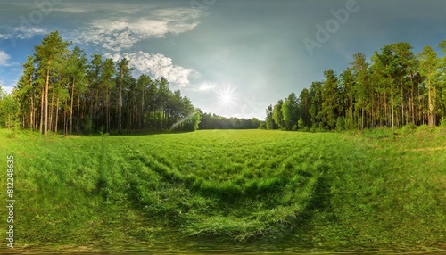 full seamless 360 degree hdri spherical panorama on a large spacious green field sunny weather in the forest glade in the forest vr content