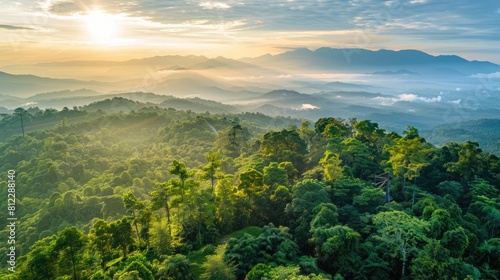 Doi Inthanon the lush forest crowning the picturesque landscape of Chiang Mai Thailand stands as one of the region s most iconic landmarks