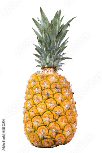 A ripe and whole pineapple. not background