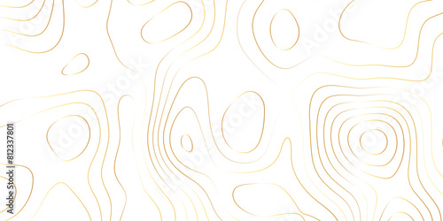 Abstract design with black and white abstract papercut and multi-layer cutout geometric pattern on vector Topographic canyon geometric map relief texture with curved layers beautiful design.