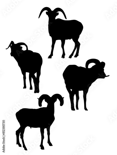 Dall sheep ram silhouette vector