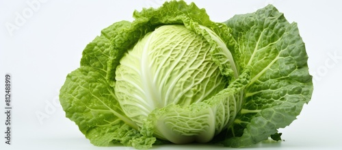 Copy space image of white background with fresh cabbage