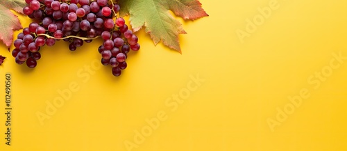Top down view of an autumn composition showcasing a frame formed by vibrant red leaves of the girlish grape complemented by green berries all set against a bright yellow backdrop Ample copy space ima