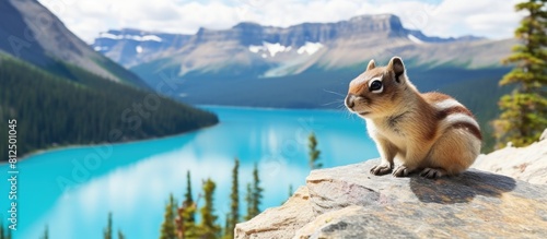 A chipmunk is spotted near the serene beauty of Lake Louise in this captivating copy space image