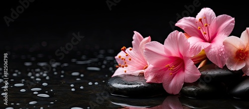 A side composition of elegant pink spa flowers placed on top of spa hot stones with a wet background The image features a dark background and copy space