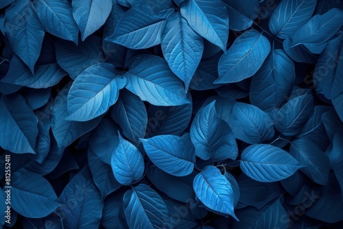Tranquil and serene botanical nature background with a dense and calming pattern of cool toned, cyan blue leaves, creating a peaceful and calming monochrome foliage wallpaper