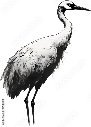 Silhouette portrait of a crane bird. 
