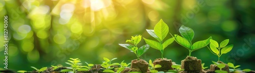 Write a case study on the impact of green bonds on sustainable development projects