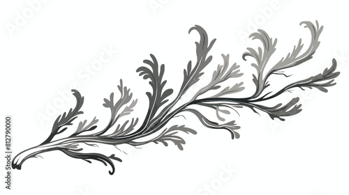 Branch of seaweed kelp or spirulina - sketch vector
