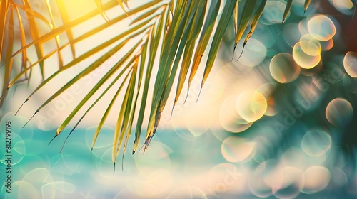 Blur beautiful nature green palm leaf on tropical beach with bokeh sun light wave abstract background Copy space of summer vacation and business travel concept Vintage tone filter effe : Generative AI