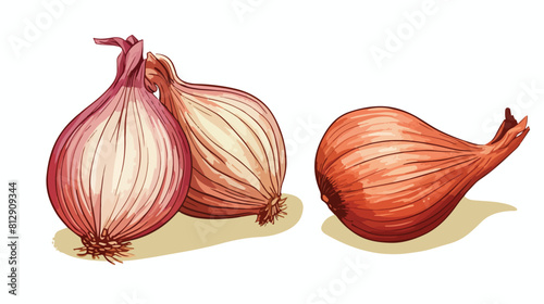 Hand drawn shallot onion with engraving sketch vect