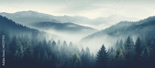 Vintage hipster style mountain landscape with misty fog fir forest and plenty of copy space image available