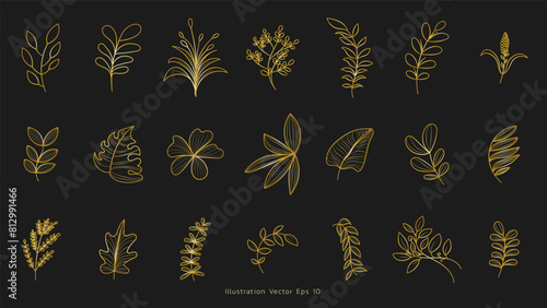 Luxury drawn floral leaves botanical gold line art set, Hand drawn leaves line Floral branch , luxury line art on black background, Vector illustration EPS 10