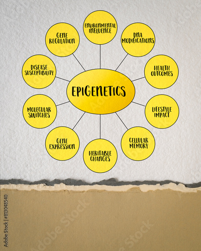 Epigenetics, study of heritable changes in gene expression or cellular phenotype caused by mechanisms other than changes in the underlying DNA sequence, mind map infographics.