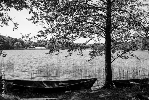 Łódka pod drzewem na brzegu jeziora w czerni i bieli
