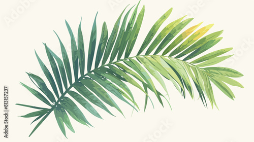 Palm tree branch with green leaves sketch vector il