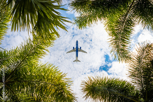 Airplane flying above palm trees