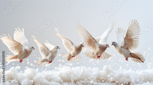 white doves in the sky, A group of pigeons flying in the sky on a white