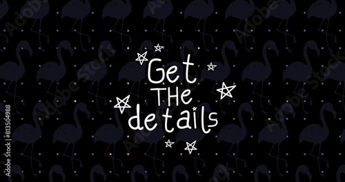 Image of get the details text and flamingos icons over black background