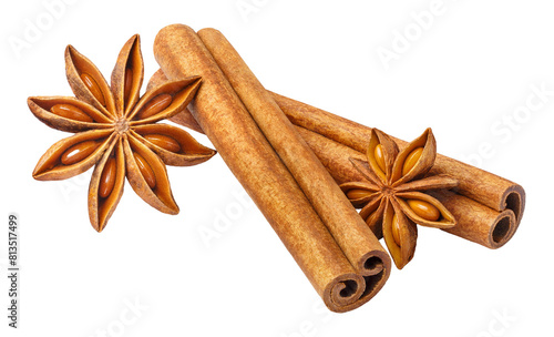 Delicious cinnamon sticks and star anise, cut out